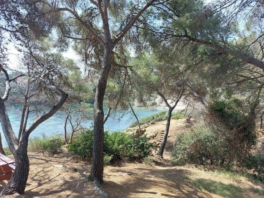 Charmant Mazet - Plage A Pied Saint-Peire-sur-Mer Exterior photo